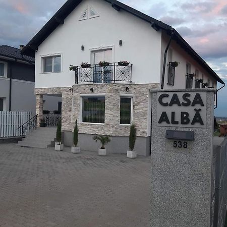 Casa Alba Hotel Sandulesti Luaran gambar